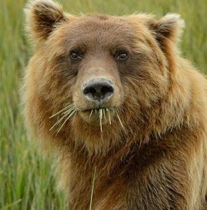 Meet your Posher, Debra